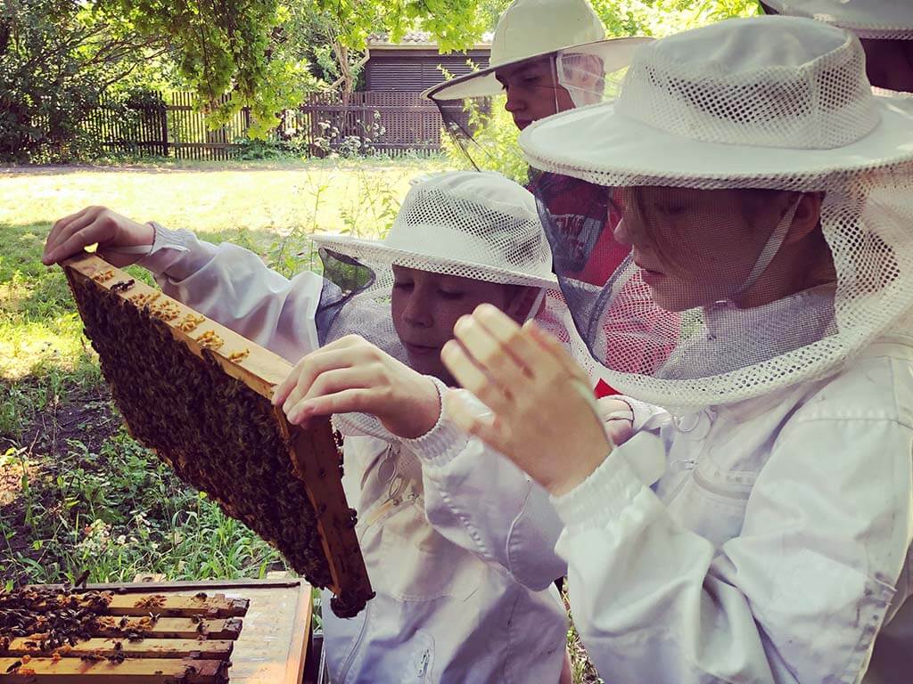 Kinder und Bienen